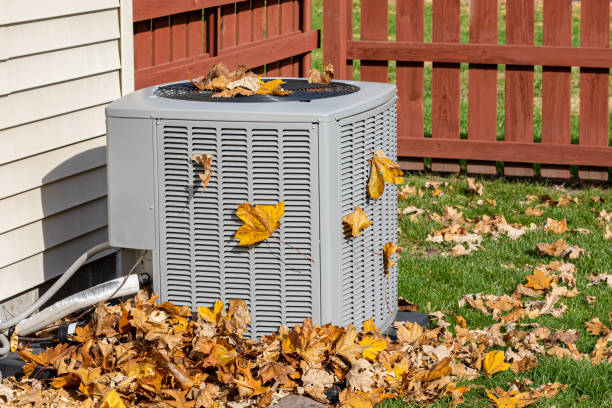 Best HVAC installation services  in Moore Haven, FL